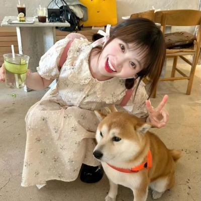 美好正逢时