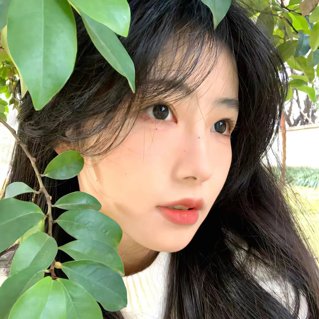 土豆侠第一季