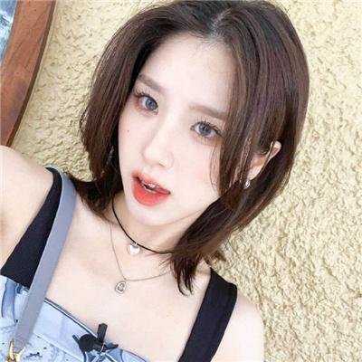 社会中坚